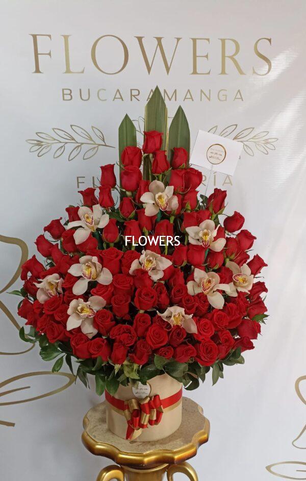 flores bucaramanga